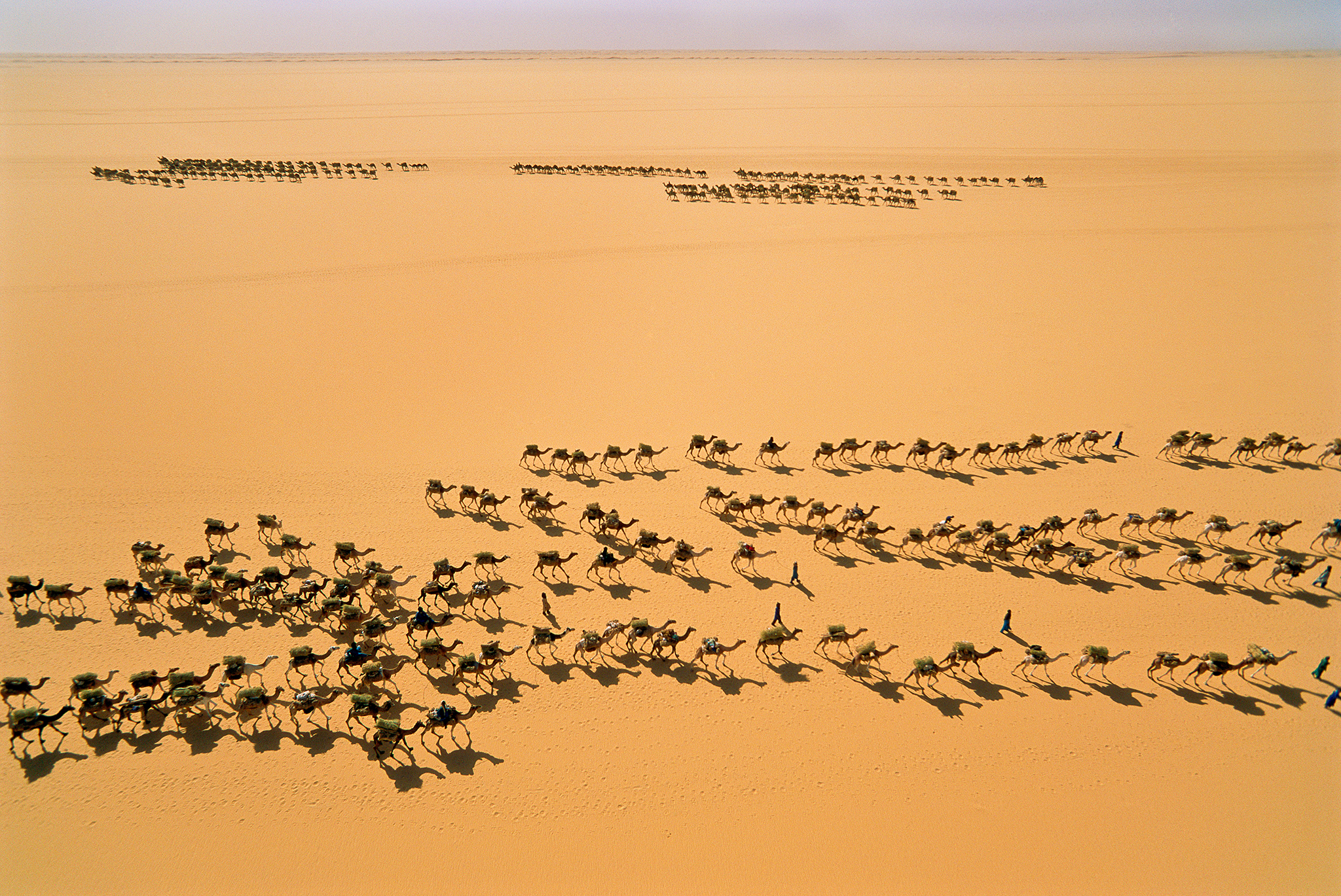 Salt caravans pass each other in the enormous plain of the Ténéré Desert. A year of good rains to the south made unusually large numbers of camels healthy enough for the two month-long round trip to the oasis of Bilma, where local Tuareg traders buy salt to sell in Southern Niger and Northern Nigeria. The caravan in the foreground is on it’s way out of the desert, each camel loaded with 200kg of salt, while the one in the background is on it’s way to Fachi, with loads of fodder and foodstuffs for the return trip.