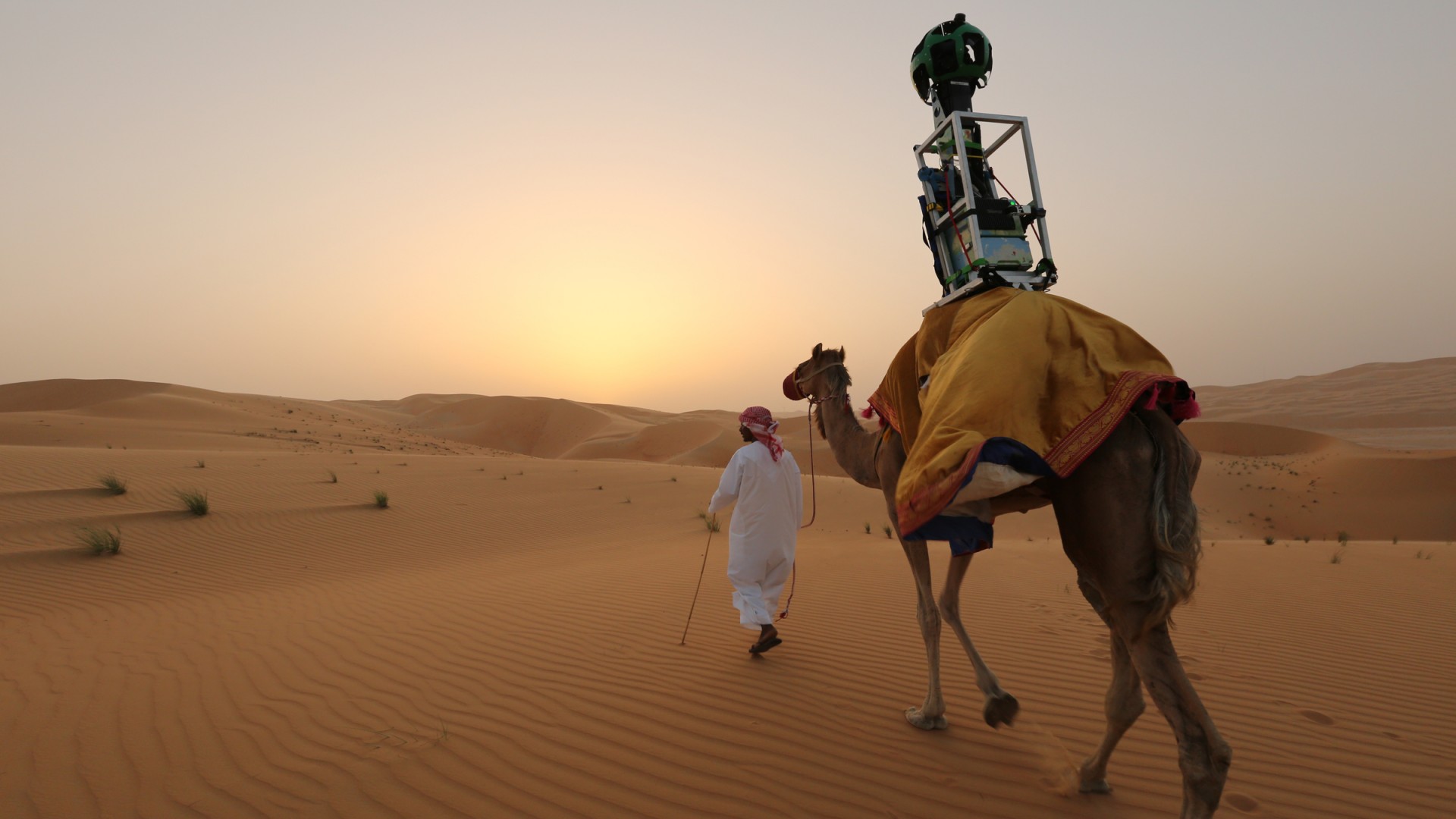 Camel-GoogleStreetView