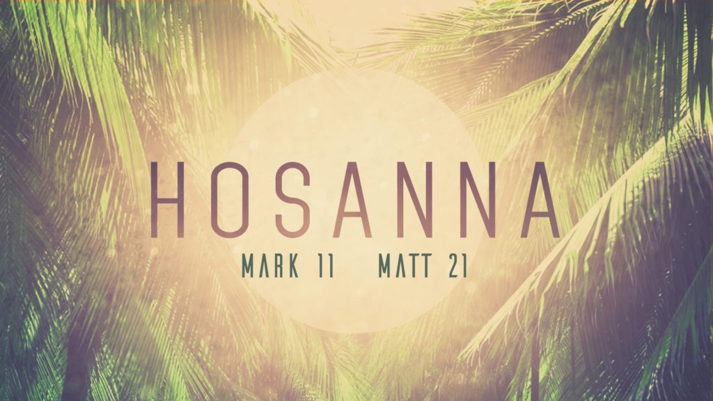 Palm Sunday – Hosanna
