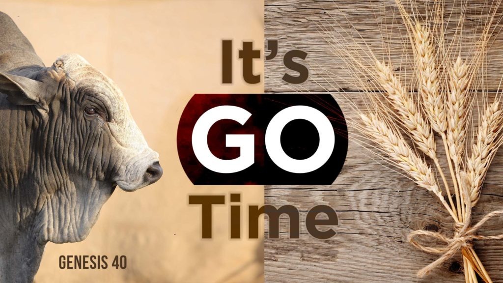 Genesis 41 – It’s Go Time