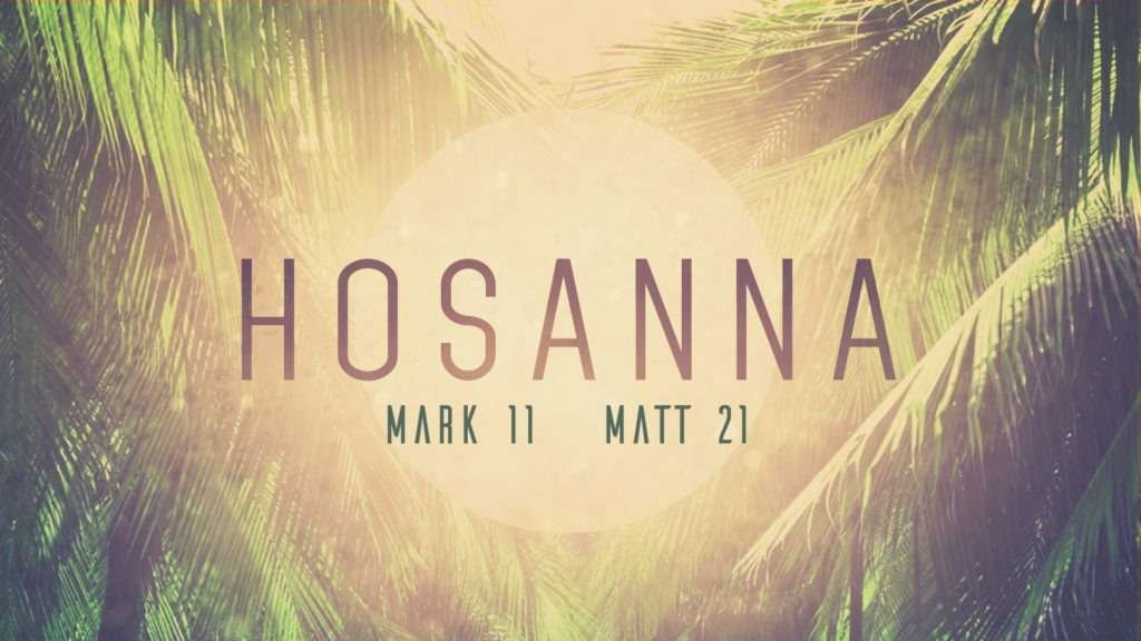 Palm Sunday – Hosanna